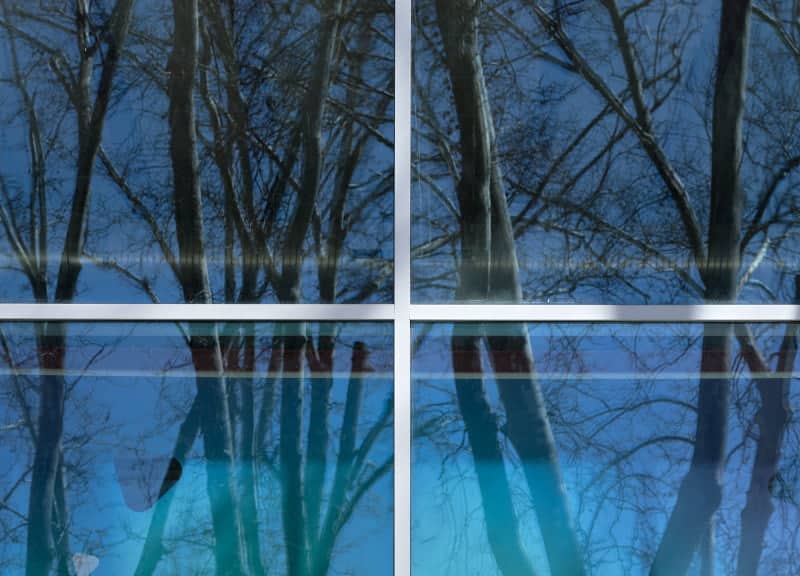 Vidrio con butiral laminado en la capa intermedia desde el que se ve un paisaje repleto de árboles.